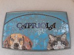 Mozaik Capriola